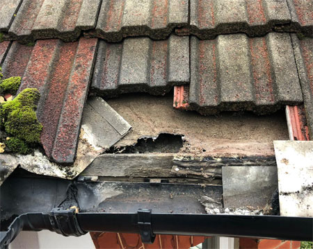 Emergency roof repairs Berkshire
